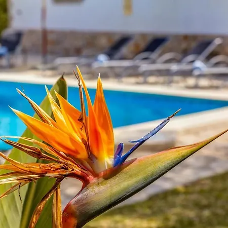 Fonoll Mari Villa Puerto Pollensa